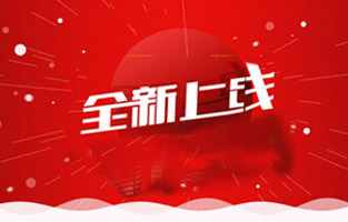 熱烈祝賀雷爾沃電器有限公司網站正式上線！歡迎新老客戶登錄雷爾沃電器站點http://www.leirvo.com/查看，我們將時時為你推出高壓電器產品相關資訊，也希望你們多提寶貴意見，讓我們共同進步，邁向新未來！ 