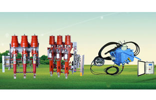 關(guān)于高壓負(fù)荷開關(guān)前面雷爾沃電器已經(jīng)為大家整理了不少知識，不知道你對柱上負(fù)荷開關(guān)有了解沒？如今在市場上比較常見的柱上負(fù)荷開關(guān)主要是壓氣式負(fù)荷開關(guān)以及真空負(fù)荷開關(guān)，我們分別來為大家做一個比較簡單的講解。